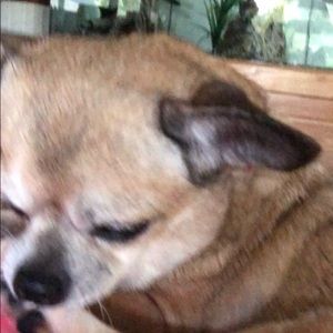 Meet your Posher, Jenni